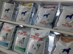 -中农国际动物医院24小时·猫科·骨科·急重症中心