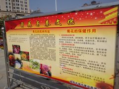 -咸阳湖景区-统一广场