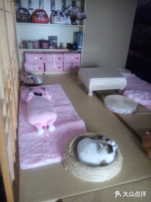 CC猫狗洗浴·猫咪寄养酒店图片
