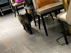 -四川简阳羊肉汤火锅(金台路店)
