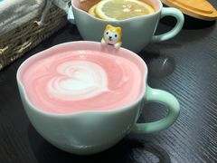 -逗柴咖啡屋·狗咖猫咖宠物桌游