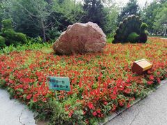 -长白岛森林公园