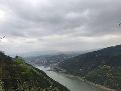 -铁山坪森林公园