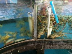 -马王堆海鲜水产市场