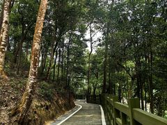 -广州市流溪河国家森林公园