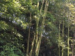 -王家大院