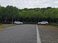 -上海大学生体育中心-游泳馆停车场