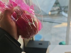 -蔓兰家的四季S0餐厅·融合菜(当代MOMA店)