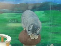 -青藏高原野生动物园