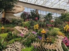 -沈阳植物园