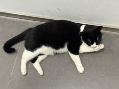 -原田新料理(1912店)