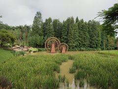 -佛冈森波拉度假区