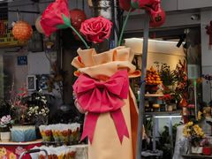 -溪岸路花鸟市场