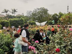 -人民公园(罗湖区)