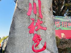 -塔川景区