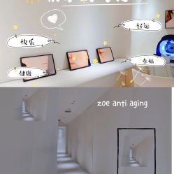 -紫御国际抗衰ZOE ANTI AGING