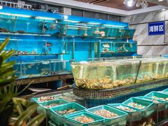 -海大大蒸汽海鲜餐厅·粤菜·特色小炒(欢乐颂店)