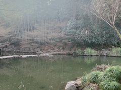 -杭州植物园