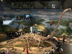 -自贡恐龙博物馆