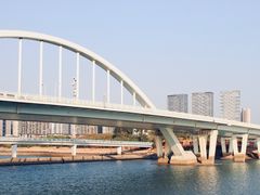-五缘湾湿地公园