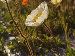 -名花谷生态庄园