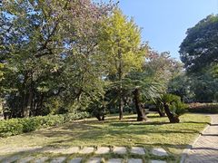 -攀枝花公园