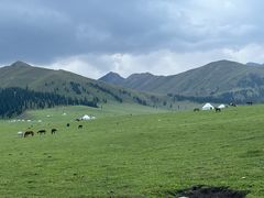 -新疆那拉提国家旅游度假区