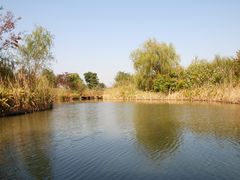 -梁鸿国家湿地公园