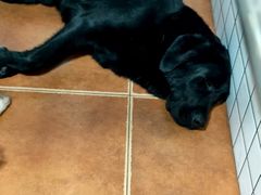 -Again Coffee Roaster(香蜜湖店)