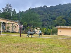 -海南热带雨林国家公园吊罗山景区