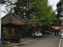 -凤栖山
