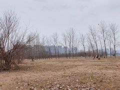 -西安汉城湖景区