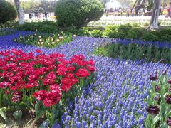 -上海鲜花港