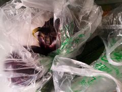 -万源龙顺度假庄园生态观光园