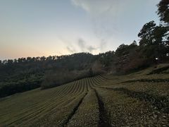 -敬亭山风景名胜区