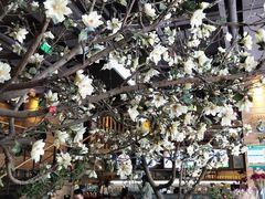 -山有花啡餐厅(常营总店)