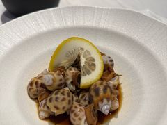 -侨美食家·40年地道粤菜(珠江新城店)