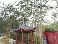 -黄埔油麻山森林公园