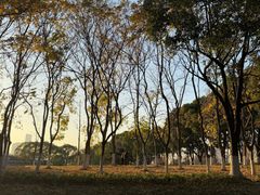 -白塘生态植物园