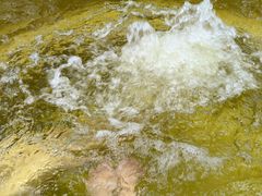 -春晖园度假酒店温泉