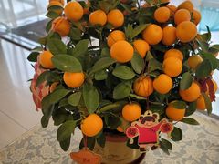 -千枝花·按摩·美容·经络SPA(建旺大厦店)