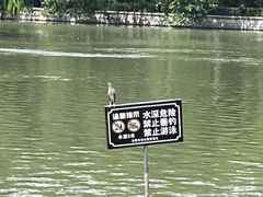 -包公祠