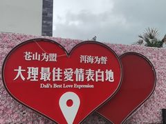 -大理洱海