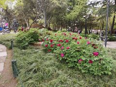 -陕西民俗大观园