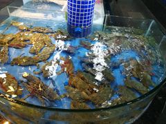 -海棠湾聚鼎香海鲜坊(海昌梦幻不夜城店)