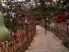 -元鼎宝驴香·全驴宴(江宁店)