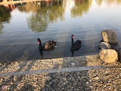 -同济大学(嘉定校区)