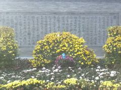 android_upload_pic-迎泽公园