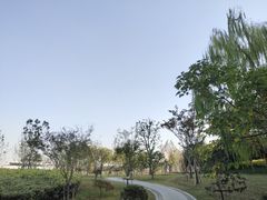 -杭州城北体育公园