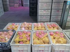 -江杨农产品批发市场